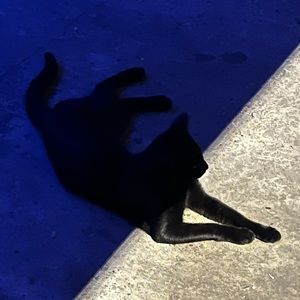 Meet your Posher, JP